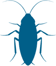 Cockroaches