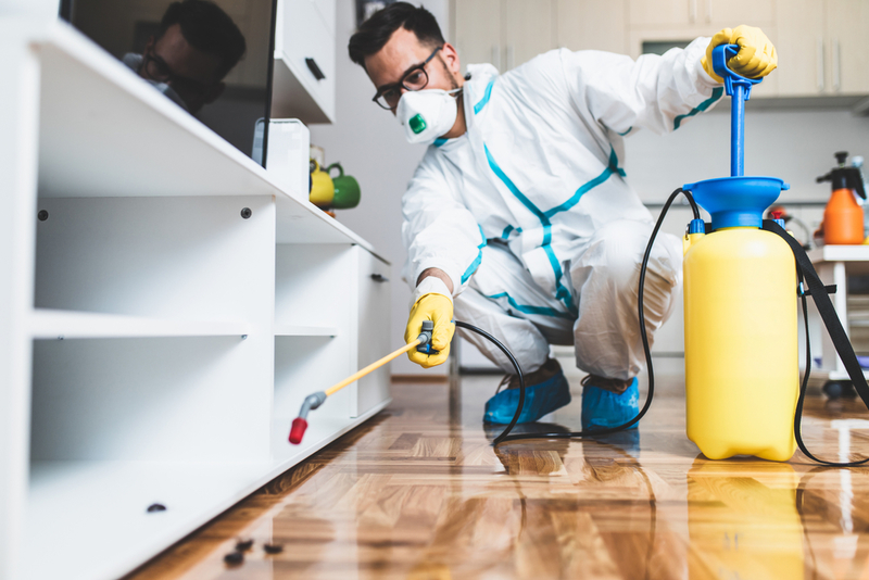 Exterminator,In,Work,Wear,Spraying,Pesticide,With,Sprayer.,Selective,Focus.