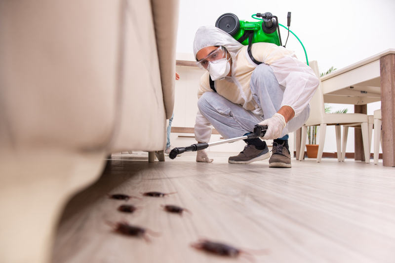 Pest,Control,Contractor,Working,In,The,Flat