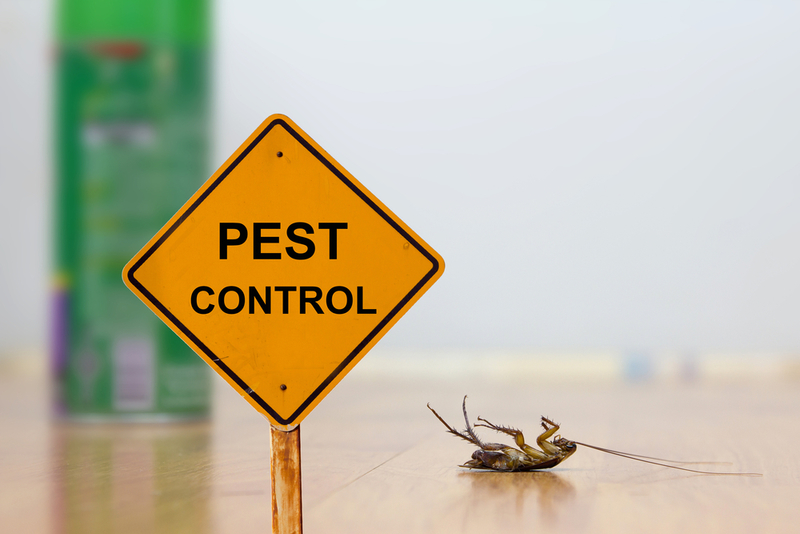 Dead,Cockroach,On,Floor,With,Caution,Sign,Pest,Control,pest,Control