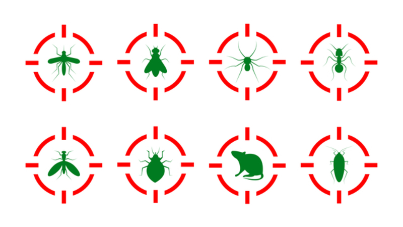 pests